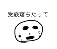 303523442