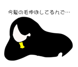 3035407