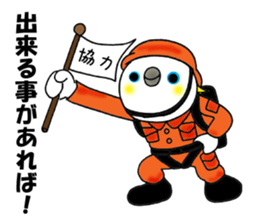 3035416