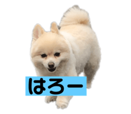 303541949