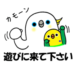 3035446