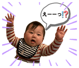 303566410