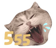 303601079