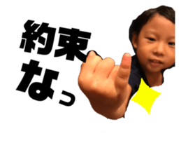303633338