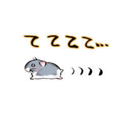 3036669