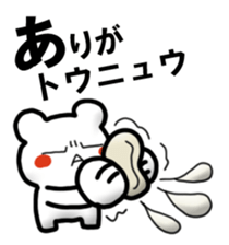 303726084