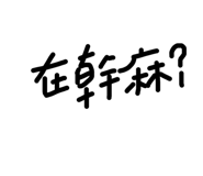 303755555