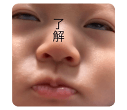 303772002