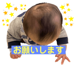 303772012