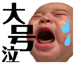 303772021