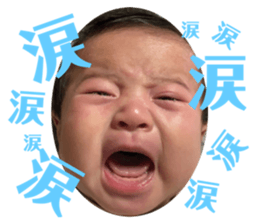 303772036