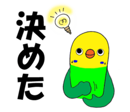3037982