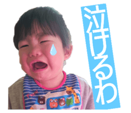 303822428