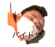 303832177