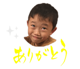 303859426