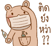 303881298