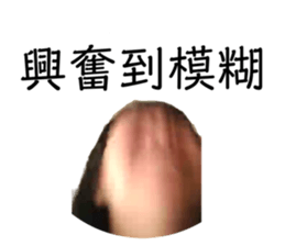 303903553