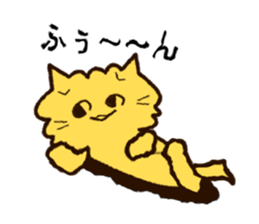 304036