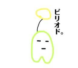 304063158