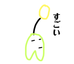 304063160