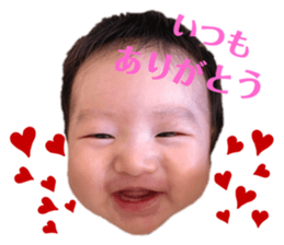 304066881