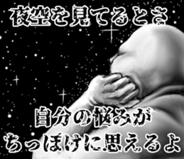 304069841