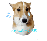 304072171