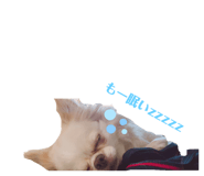 304087083