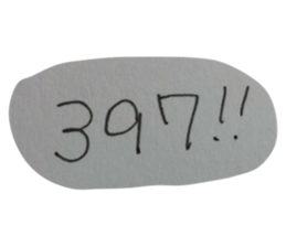 304088604
