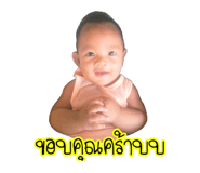30411862