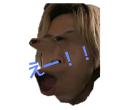 304127633