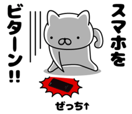 304153131