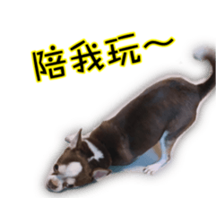304160240