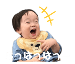 304204577