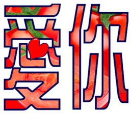 304273990
