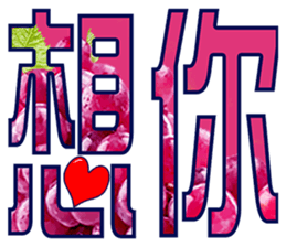 304274003