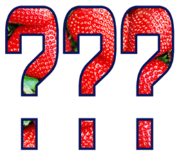 304274018