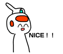 304291551