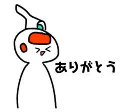 304291553