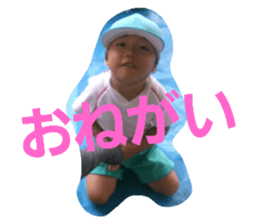 304336677