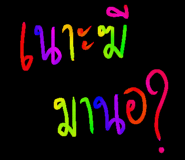 304352279