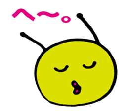 3043753
