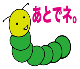 3043755