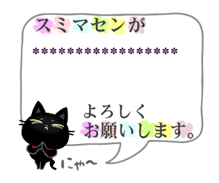 304377040