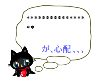 304377044