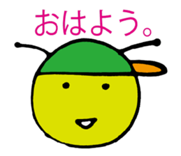 3043771