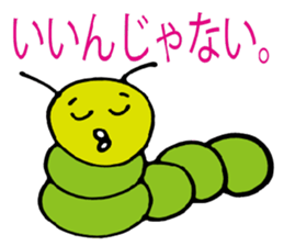 3043779