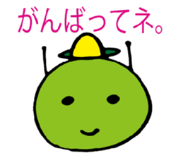 3043781
