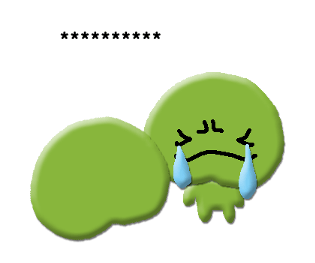 304380317