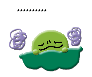 304380333